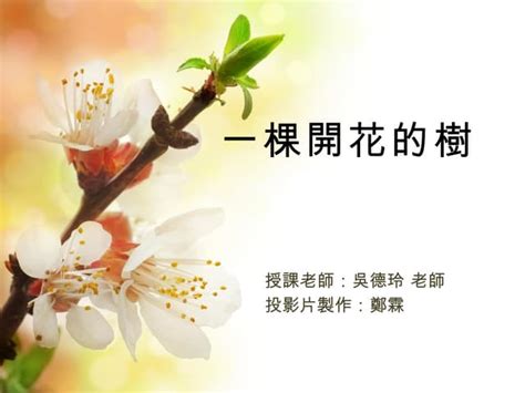 樹的現代詩|現代詩《一棵開花的樹》賞析